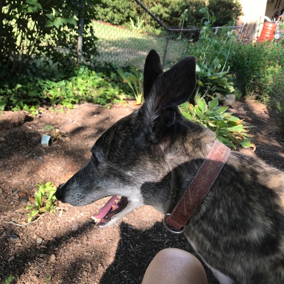 Selling clothes, shoes and jewelry - Picture 3 of 4